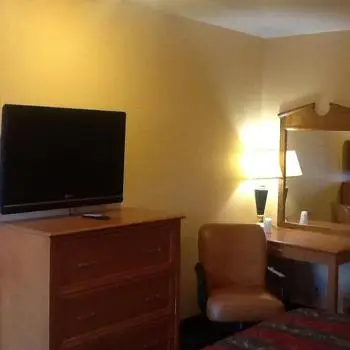 Palm Tree Inn Main image